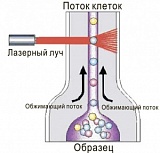 Анализатор соматических клеток в молоке методом проточной цитометрии «BioUniScan»